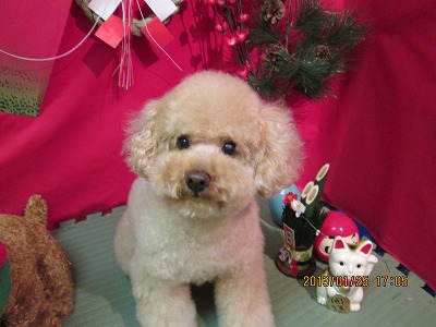 ファイル 6097-2.jpg