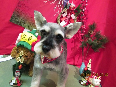 ファイル 6098-2.jpg