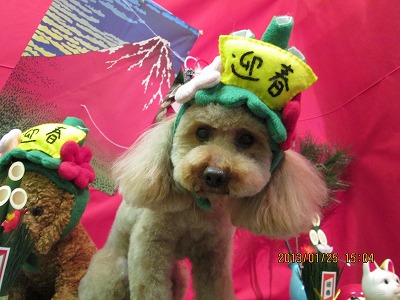 ファイル 6099-2.jpg