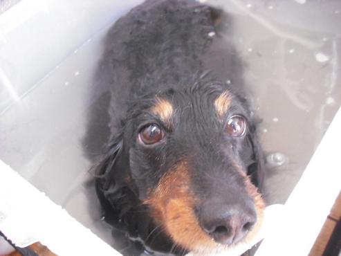 ファイル 61-2.jpg