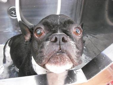 ファイル 610-2.jpg