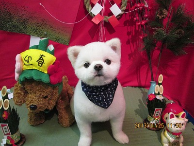 ファイル 6100-1.jpg