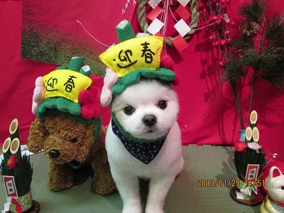 ファイル 6100-2.jpg