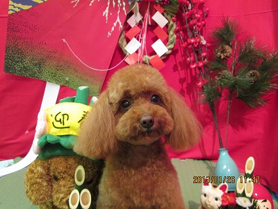 ファイル 6101-1.jpg