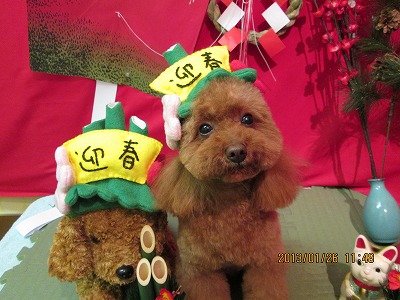 ファイル 6101-2.jpg