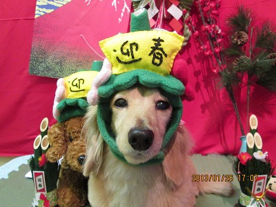 ファイル 6103-2.jpg