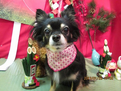 ファイル 6104-1.jpg