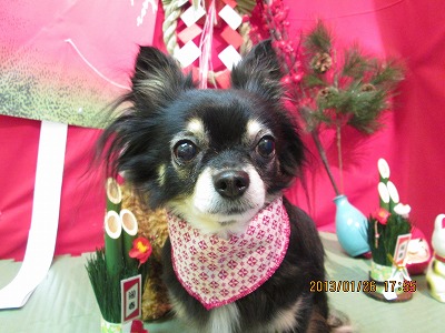 ファイル 6104-2.jpg