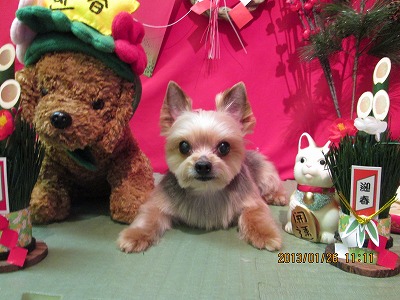 ファイル 6105-2.jpg