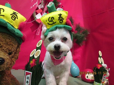 ファイル 6106-1.jpg