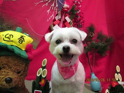 ファイル 6106-2.jpg