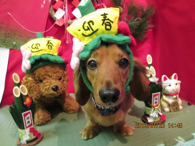 ファイル 6107-1.jpg