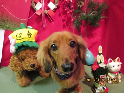 ファイル 6107-2.jpg