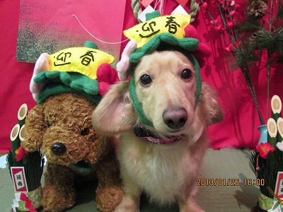 ファイル 6108-1.jpg