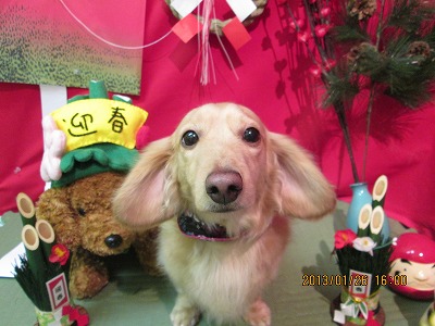 ファイル 6108-2.jpg