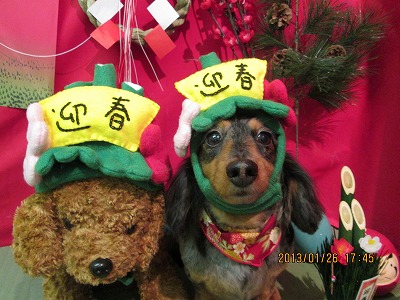 ファイル 6109-1.jpg