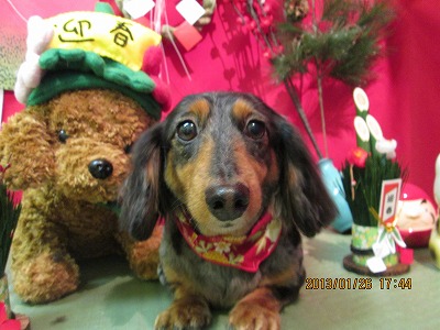 ファイル 6109-2.jpg