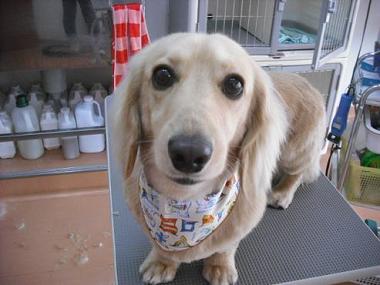 ファイル 611-1.jpg