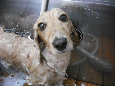 ファイル 611-3.jpg