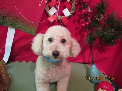 ファイル 6110-2.jpg