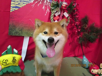 ファイル 6111-1.jpg