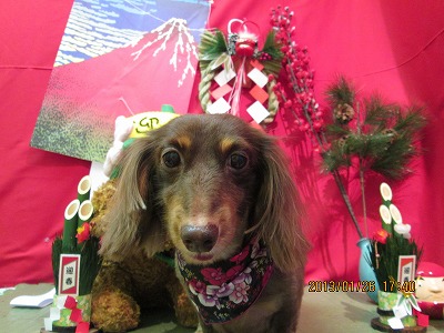 ファイル 6112-2.jpg