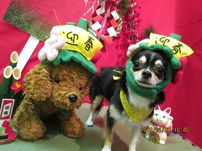 ファイル 6113-1.jpg