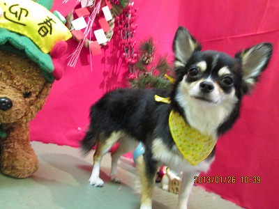 ファイル 6113-2.jpg