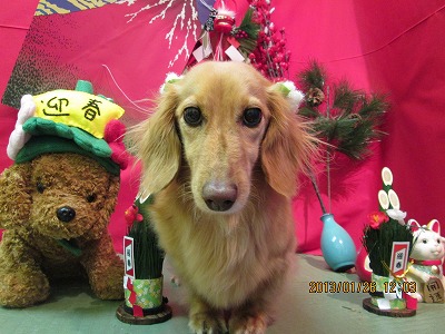 ファイル 6114-2.jpg