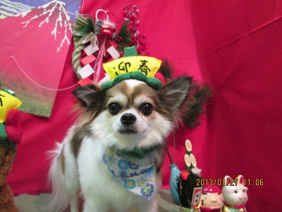 ファイル 6115-1.jpg