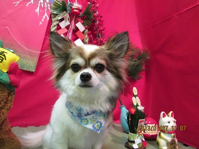 ファイル 6115-2.jpg