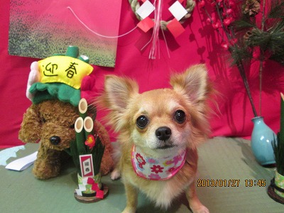 ファイル 6116-1.jpg