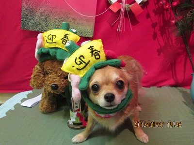 ファイル 6116-2.jpg