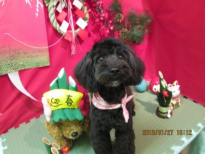 ファイル 6117-1.jpg