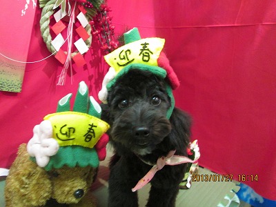 ファイル 6117-2.jpg