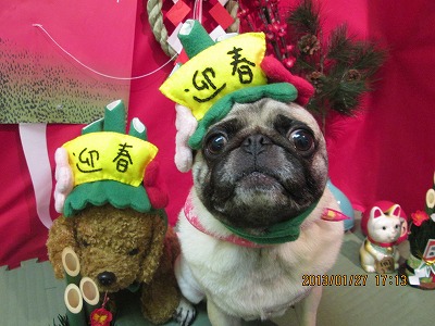 ファイル 6118-1.jpg