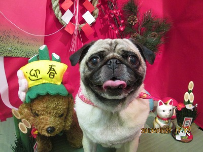 ファイル 6118-2.jpg