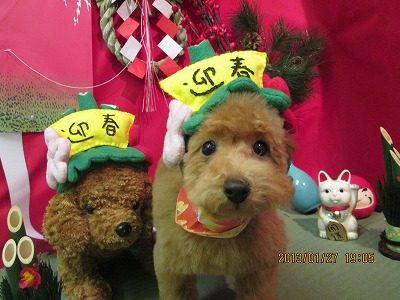 ファイル 6119-1.jpg