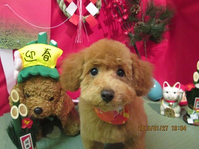 ファイル 6119-2.jpg