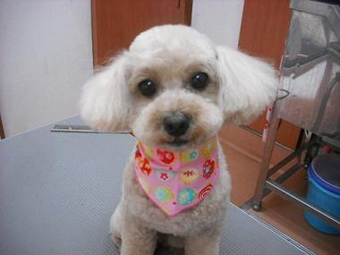 ファイル 612-1.jpg