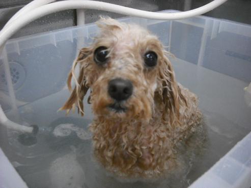 ファイル 612-2.jpg