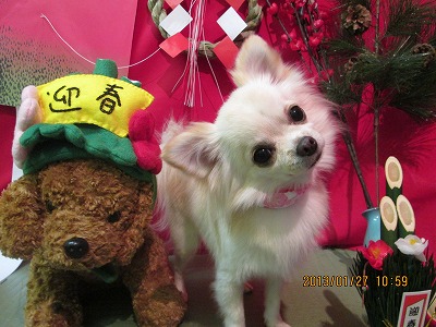 ファイル 6120-1.jpg