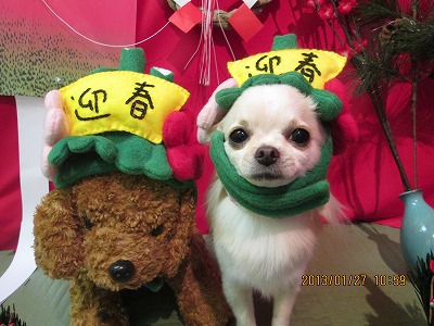 ファイル 6120-2.jpg