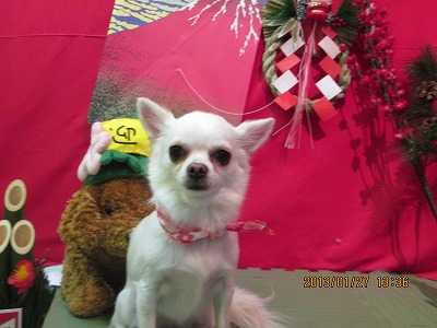 ファイル 6121-2.jpg