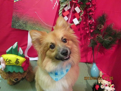 ファイル 6123-1.jpg