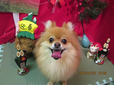 ファイル 6124-1.jpg