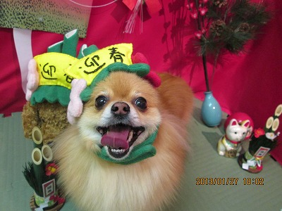 ファイル 6124-2.jpg