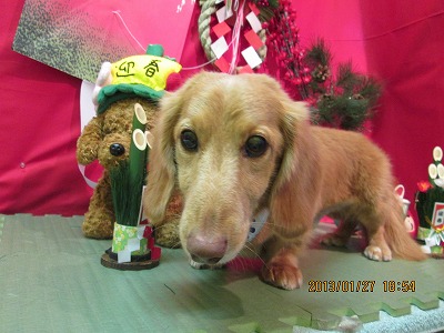 ファイル 6125-2.jpg