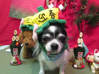 ファイル 6126-1.jpg