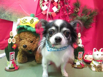 ファイル 6126-2.jpg